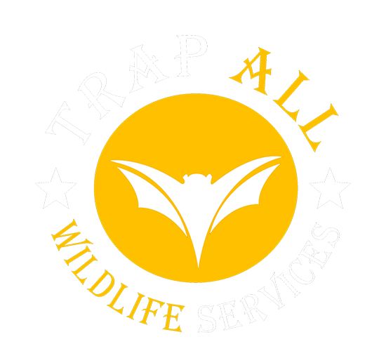 Trap All Wildlife Services